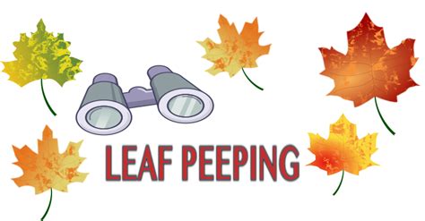 Leaf Peeping Openclipart