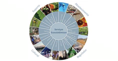O Que São Serviços Ecossistêmicos - O que são serviços ecossistêmicos? - Ética Ambiental