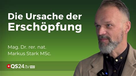 Nebennierenschwäche grundlos energielos gibt es nicht Dr rer nat