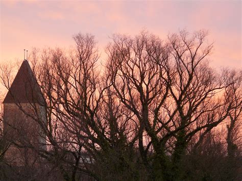 Free Images Landscape Tree Nature Grass Branch Winter Cloud Sky Sunrise Sunset Mist