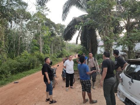 Orang Pencuri Kelapa Sawit Ditangkap Kasat Reskrim Akp Morris Widhi