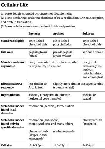 Bio 160 Exam 3 Flashcards Quizlet