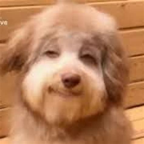 Stream Come Over Here And Kiss Me On My Hot Mouth I M Feeling Romantical By Eduardo Freitas