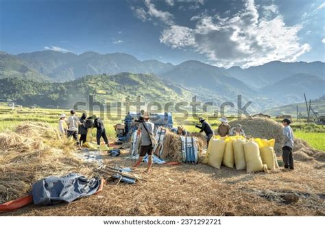 27 Lai Bai Images, Stock Photos, 3D objects, & Vectors | Shutterstock
