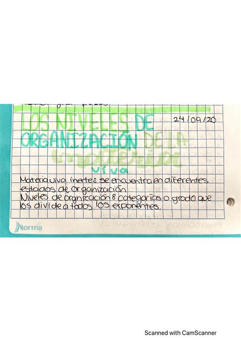 SOLUTION Niveles De La Organizaci N De La Materia Studypool