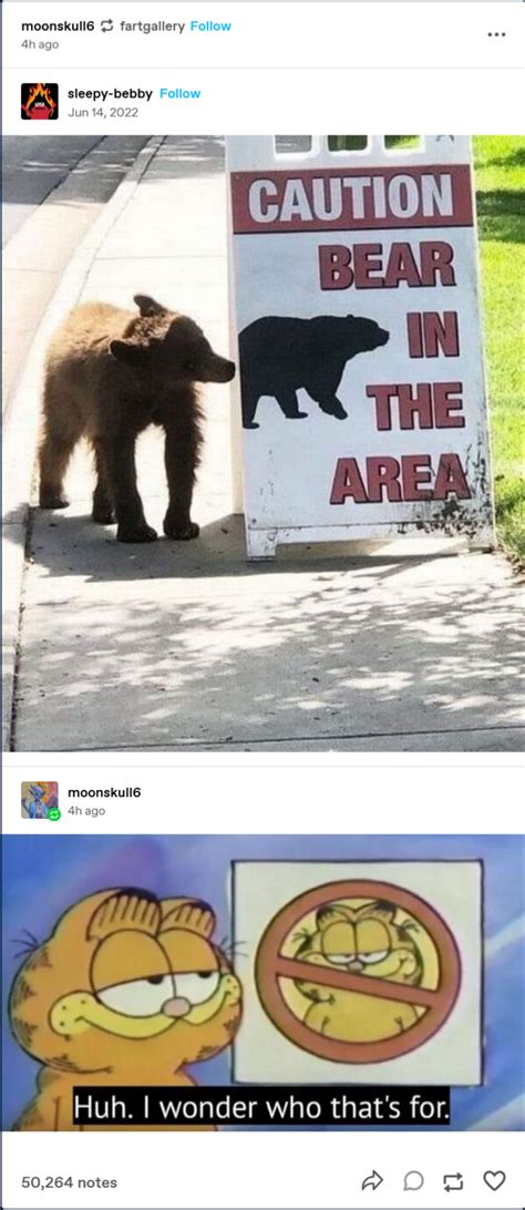 beware of the bear : r/CuratedTumblr