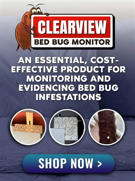 Where Do Bed Bugs Come From Understanding How Bed Bugs Infest Homes Clearview Bed Bug Monitor