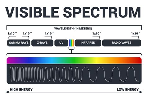 Visible light diagram. Color electromagnetic spectrum, light wave ...