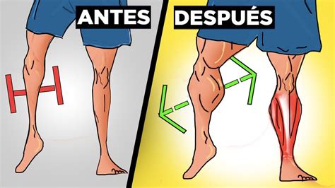 La MEJOR FORMA De ENTRENAR PANTORRILLAS No Te Crecen Los Gemelos