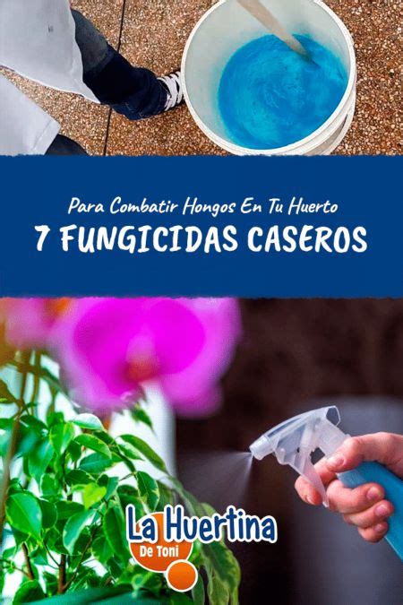 Fungicidas Caseros Y Naturales Para Plantas Del Huerto O Jardín