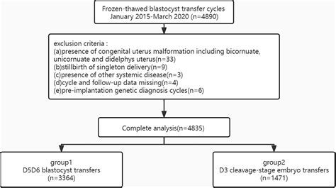 Perinatal Outcomes Of Singletons Born After Blastocyst Or Cleavage