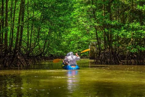 Desde San José Excursión De 3 Días Al Parque Nacional De Tortuguero