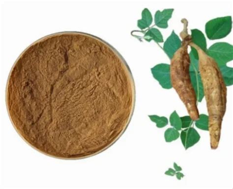 Kudzu Extract powder at Rs 900/kg | Uttam Nagar | New Delhi | ID ...