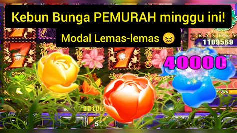 Fairy Garden Cun Hari Ini Modal 50 Mega888 Today Follow Trick Padu