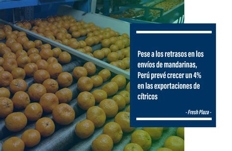 Pese A Los Retrasos En Los Env Os De Mandarinas Per Prev Crecer Un