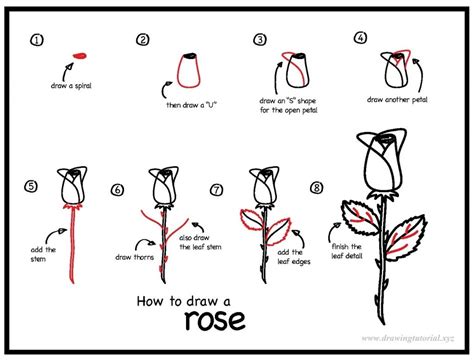 How To Draw A Rose Step By Step Drawing Pencil Drawing Tutorial