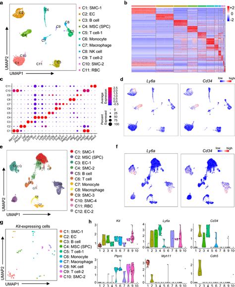 Single Cell Rna Sequencing Analysis Reveals Cellular Heterogeneity Of Download Scientific