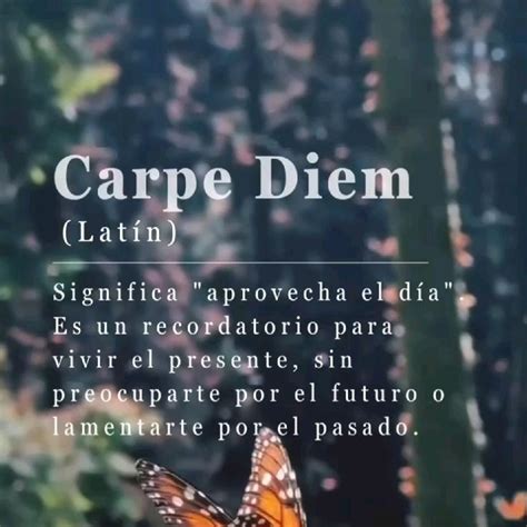 Carpe Diem O Que Significa - Carpe Diem: Qué significa y de dónde viene esta expresión en 2025 ...