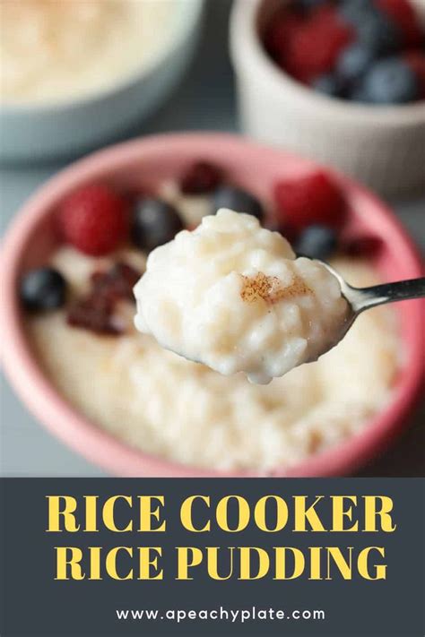 Easy Rice Cooker Rice Pudding Recipe Rice Cooker Recipes Rice Cooker Recipes Dessert Aroma