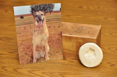 Cafb Mwd Passes Away Columbus Air Force Base Article Display