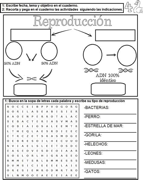 Reproducci N En Seres Vivos Ciencias De La Escuela Intermedia