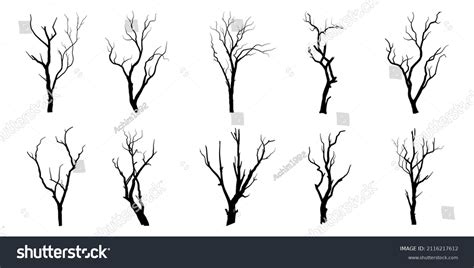 Black Branch Tree Naked Trees Silhouettes Stock Vector Royalty Free Shutterstock