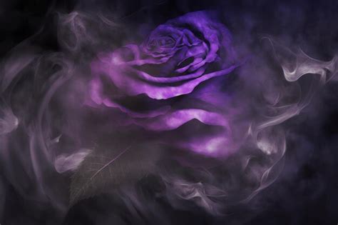 Una Rosa Morada Rodeada De Humo Con Un Fondo Negro Foto Premium