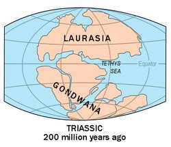 Laurasia | Paleontology Wiki | Fandom