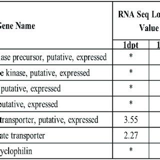 Rt Pcr Validation Of Differentially Expressed Genes Identified By