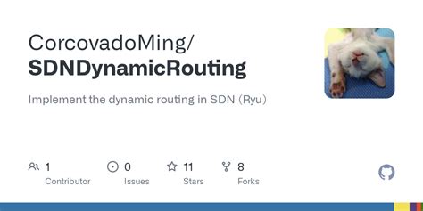 GitHub CorcovadoMing SDNDynamicRouting Implement The Dynamic Routing