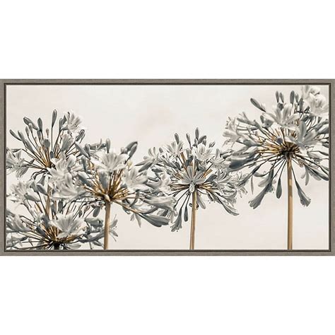 Amanti Art African Lily Flowers Ii 265 Inch X 14 Inch Framed Wall Art In Grey Framed Wall