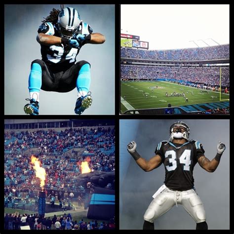 DeAngelo Williams Panthers running back | Carolina panthers, Deangelo ...