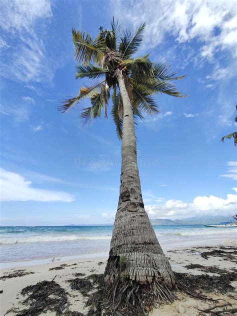Natural Robek Flores Ntt Indonesia Stock Image - Image of flores ...