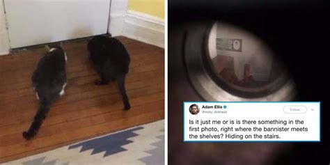 Dear David: This Guy Tweeted His Terrifying Ghost Encounter