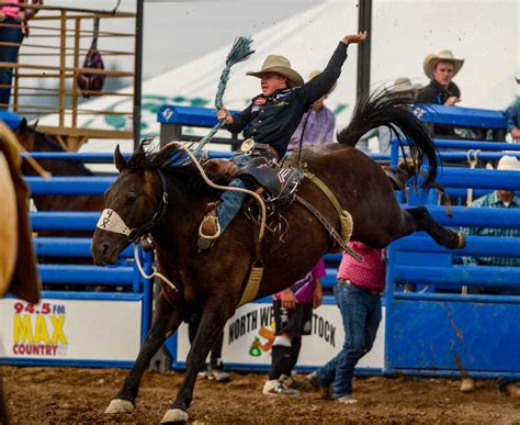 Which Cowboys and Cowgirls Will Gear Up for Cinch Playoffs in Sioux ...