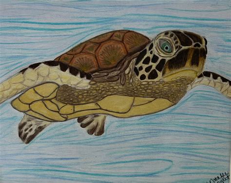 Sea Turtle Colored Pencil Drawing Fine Art Print, Beach Decor, Nautical ...