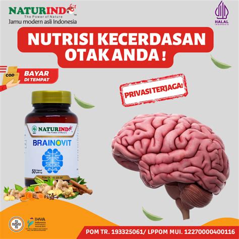 Jual Herbal Nutrisi Penambah Daya Ingat Kecerdasan Otak Menambah