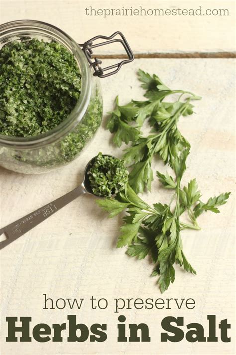 Homemade Herb Salt Recipe Herb Salt Recipe Herb Recipes Herbs