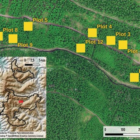 Location of the Black Forest National Park in South‐Western Germany and ...