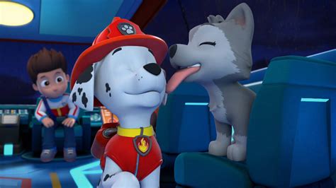 Paw Patrol Season 8 Episode 7 By Karllthorn On Deviantart