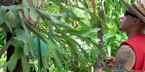 Fuck In The Garden Tnaflix