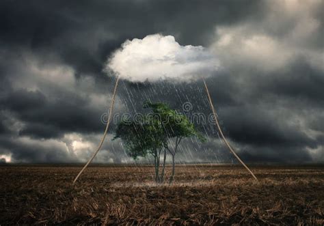 Thunderstorm And Raining Drop On Ground Stock Image Image Of