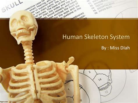 materi science p ws skeleton