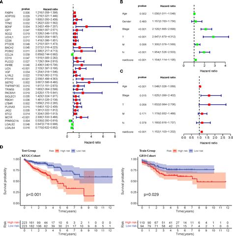 Frontiers Immune Related Gene Based Prognostic Index For Predicting