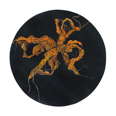 SA Memento Mori (carrots) – Chambers Art Gallery
