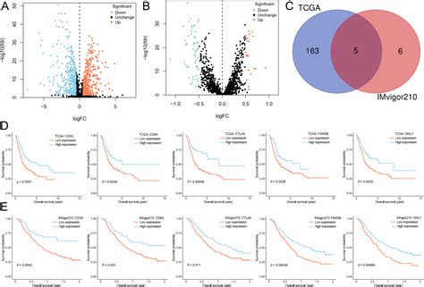 Figure From Development Of A Molecular Subtype Associated Immune