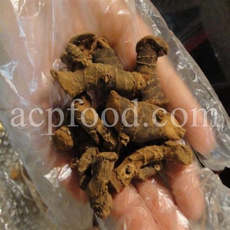 Buy Greater Galangal Root Bulk Alpinia Galanga Khulanjan