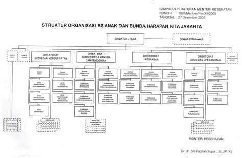 Detail Struktur Organisasi Rumah Sakit Tipe C Koleksi Nomer 16