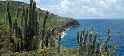 El cambio climático amenaza a millones de personas en zonas costeras de América Latina y el