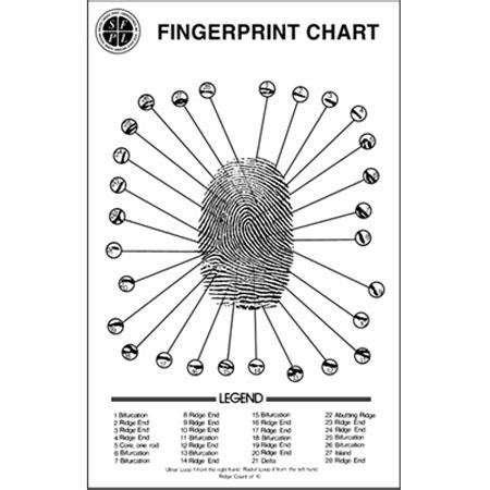 Sirchie Fingerprint Ridge Structure Wall Chart FC349